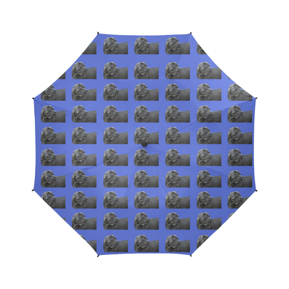 Cane Corso/Italian Mastiff Umbrella - Semi Automatic