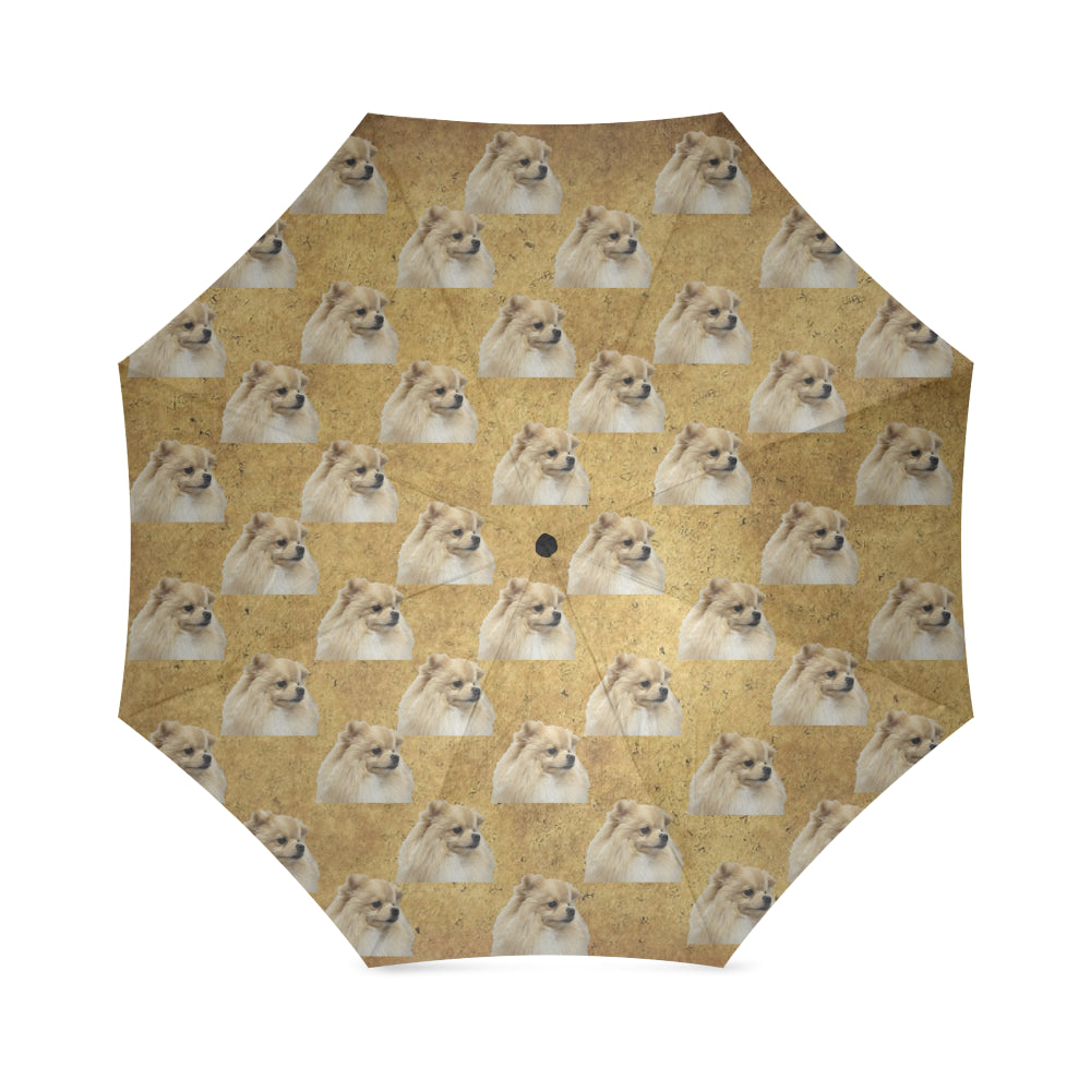 Pomeranian Umbrella