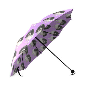 Cavapoo Umbrella 2