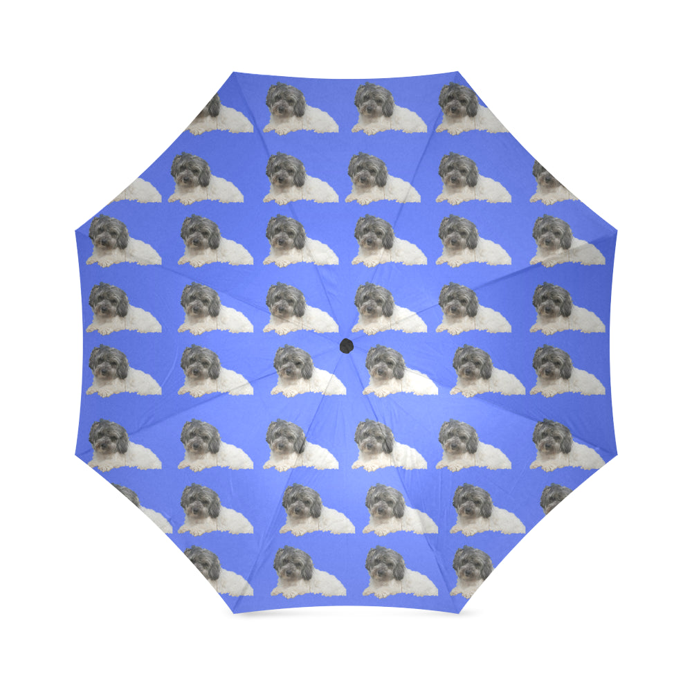 Lowchen Umbrella