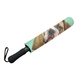 Bulldog Umbrella - English