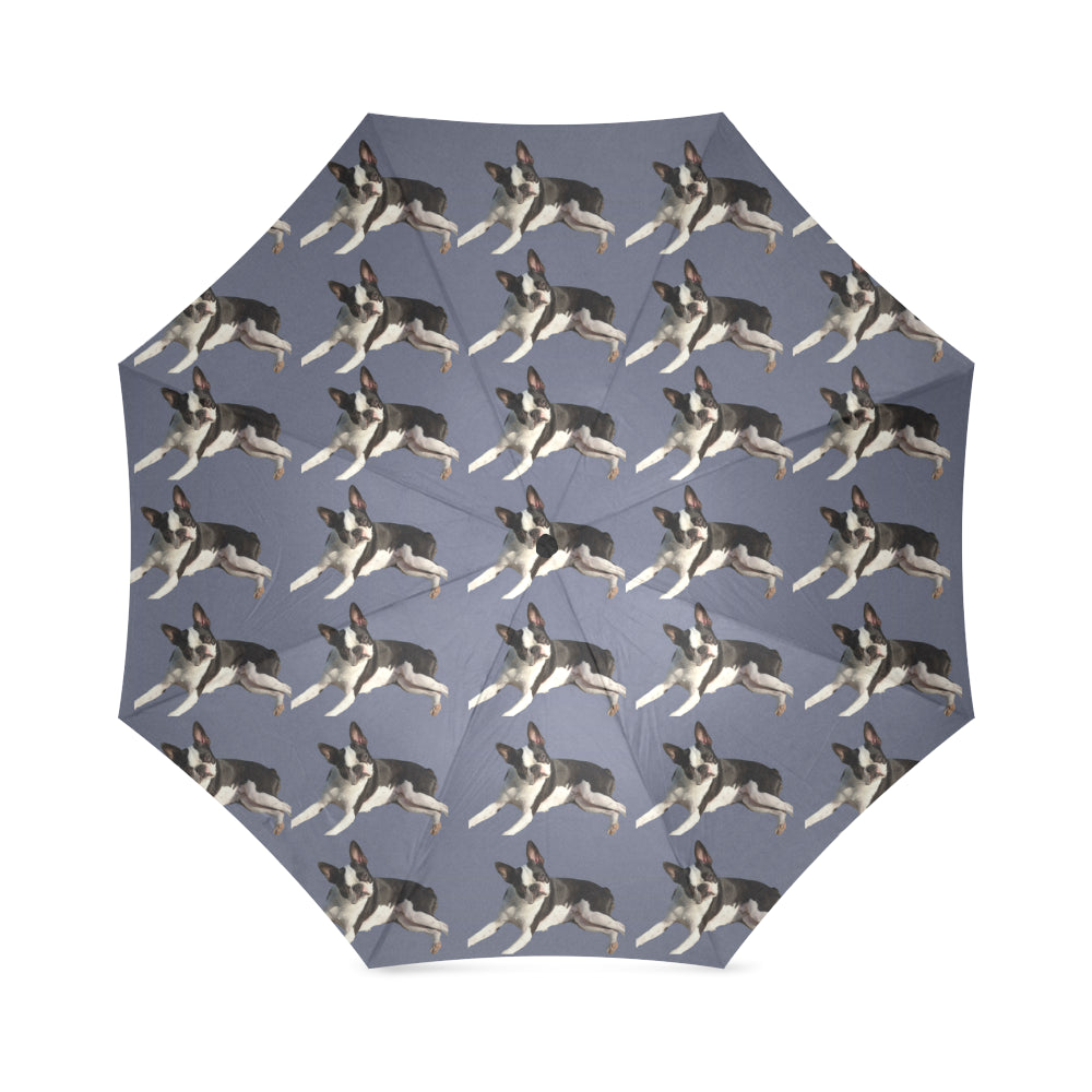 Boston Terrier Umbrella  - Blue