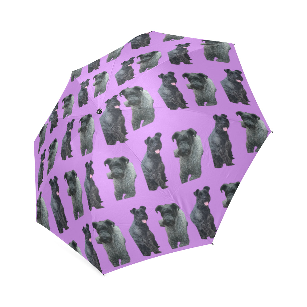 Kerry Blue Sherry Umbrella
