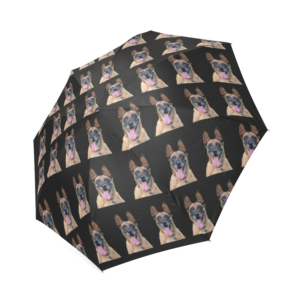 Belgian Malinois Umbrella