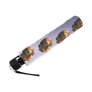 Dachshund Puppy Umbrella