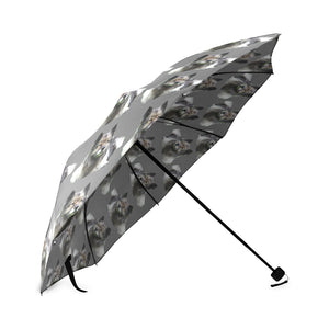 Keeshond Umbrella