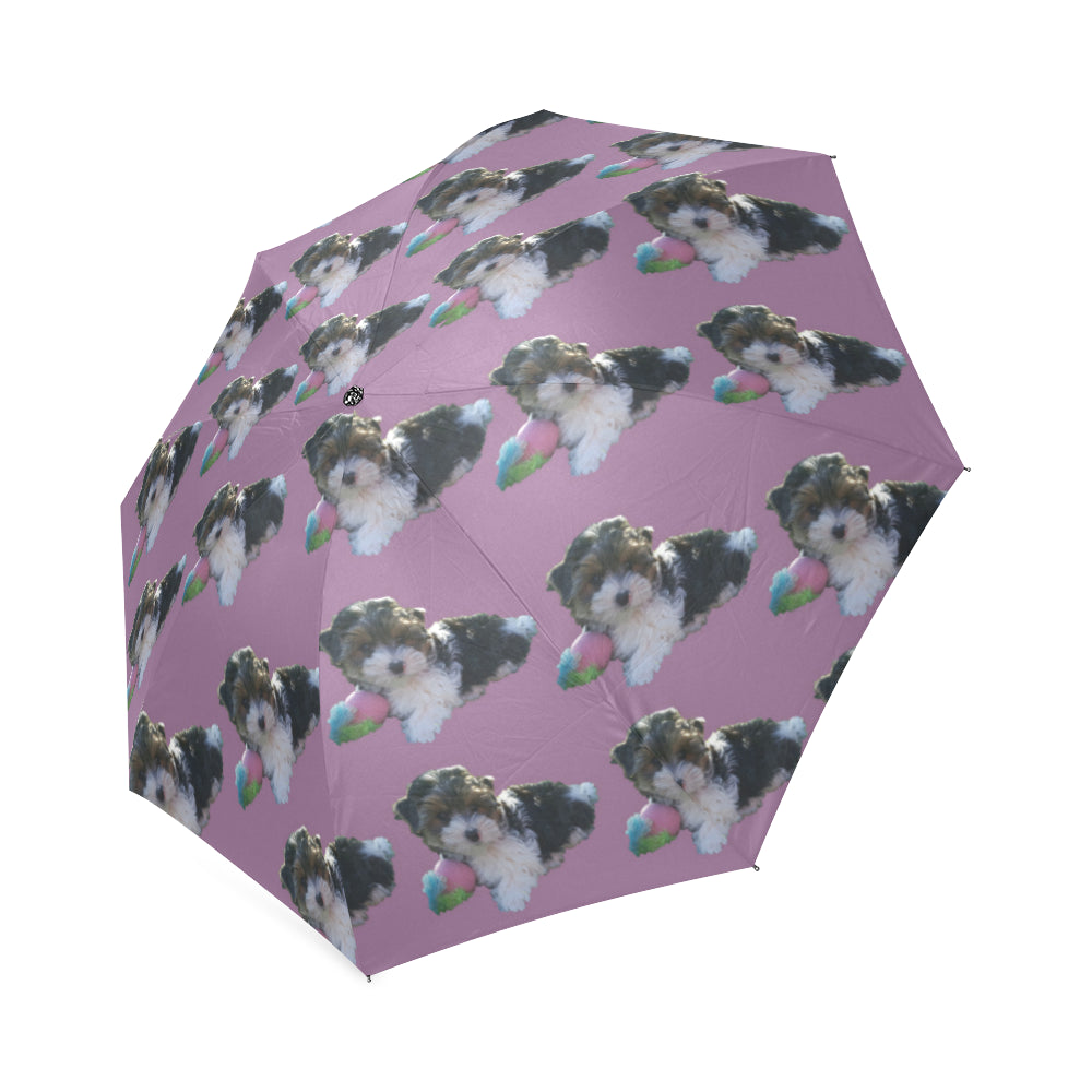 Biewer Terrier Umbrella
