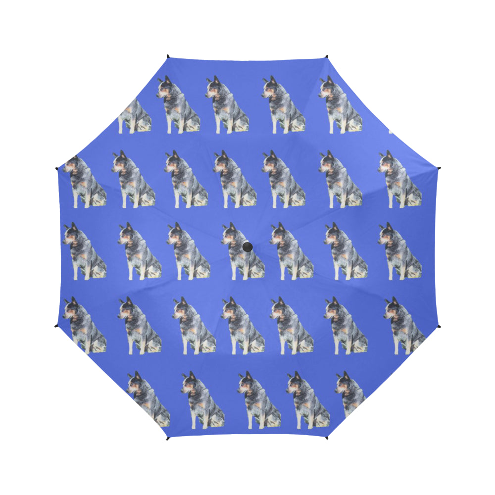 Blue Heeler Umbrella