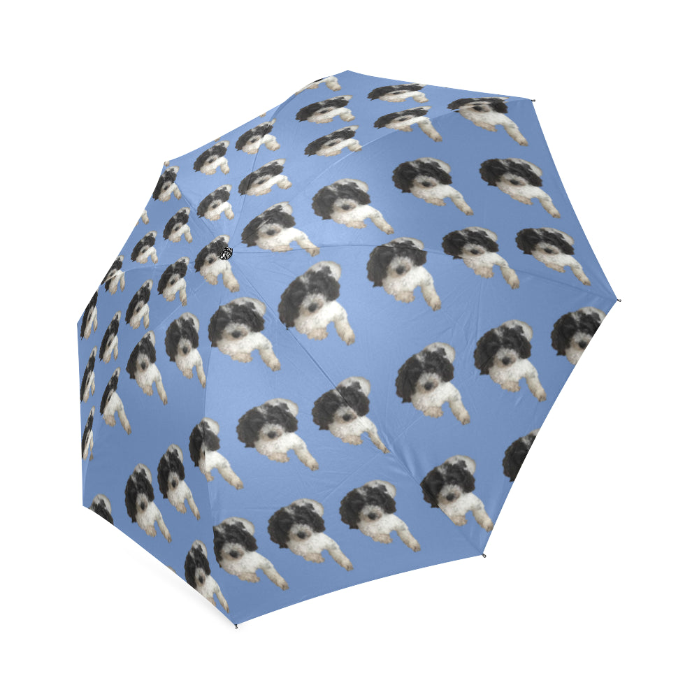 Cavapoo Umbrella