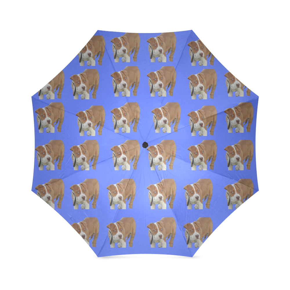 Pitbull Umbrella - Blue