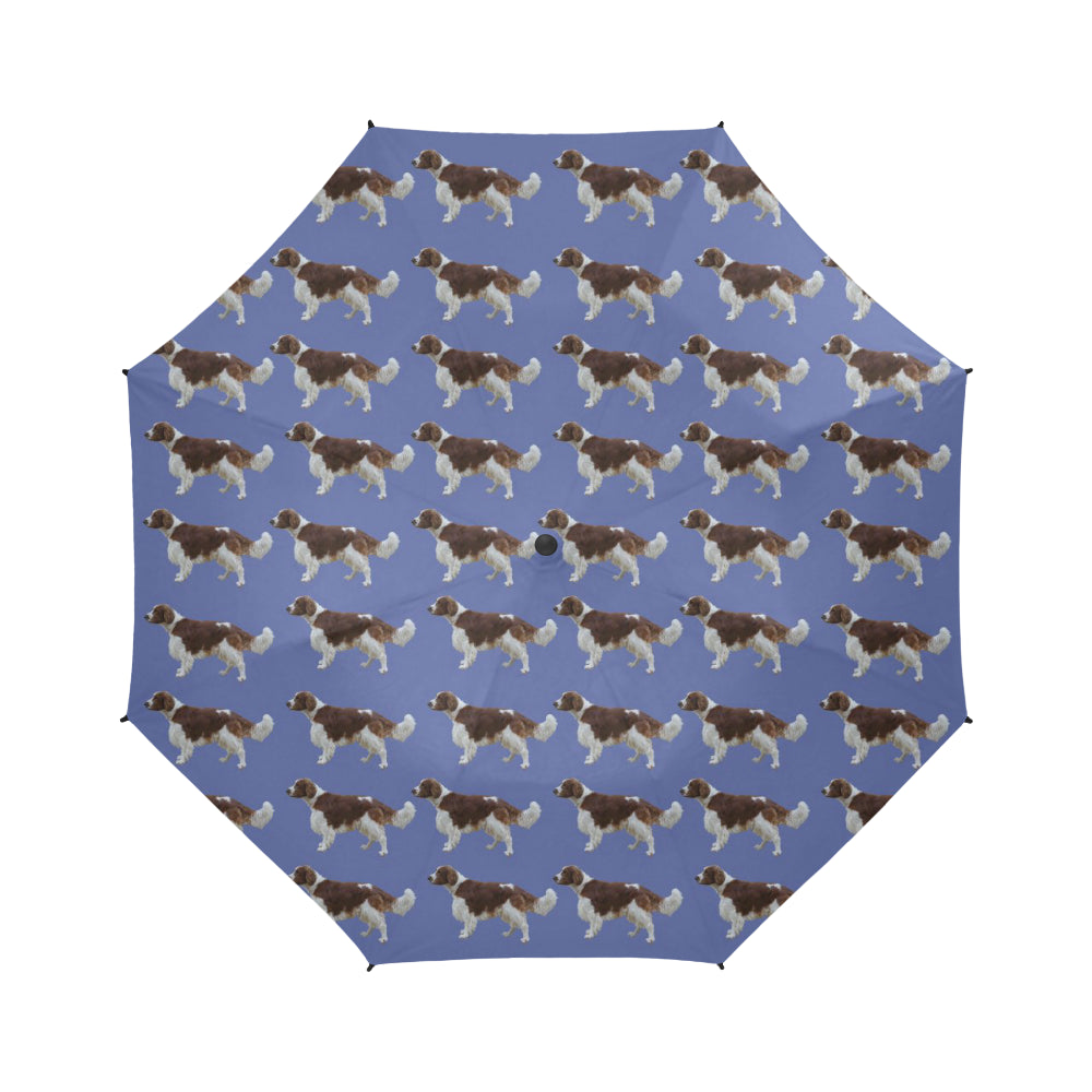 Welsh Springer Spaniel Umbrella
