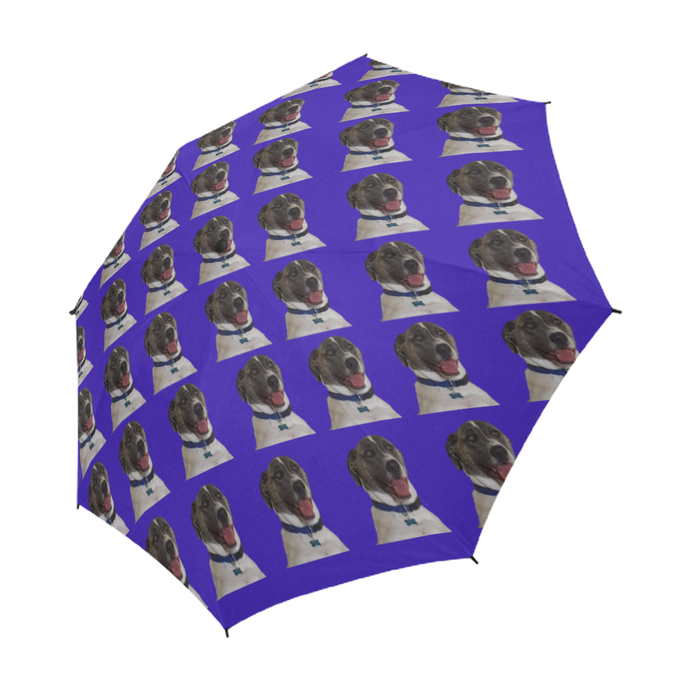 Bull Arab Umbrella