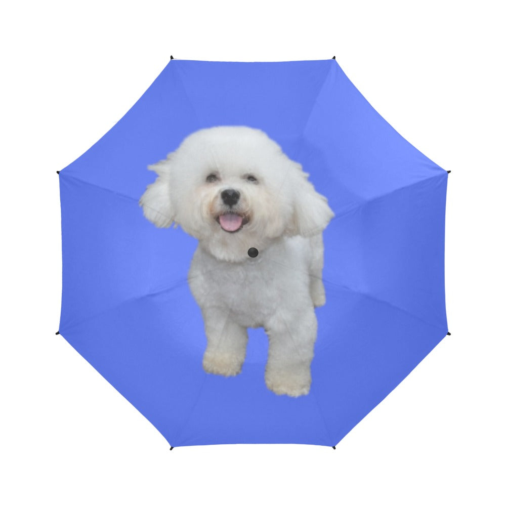 Bichon Umbrella - Single