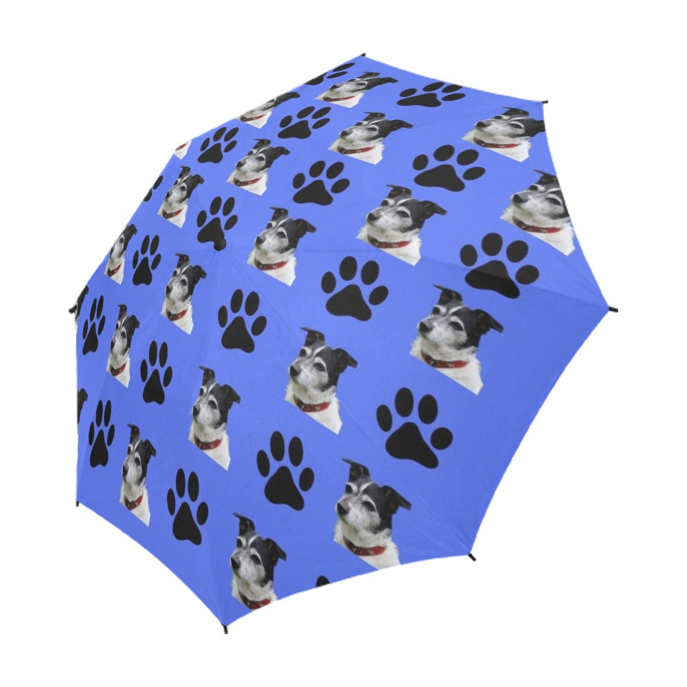 Jack Russell Terrier & Paws Umbrella