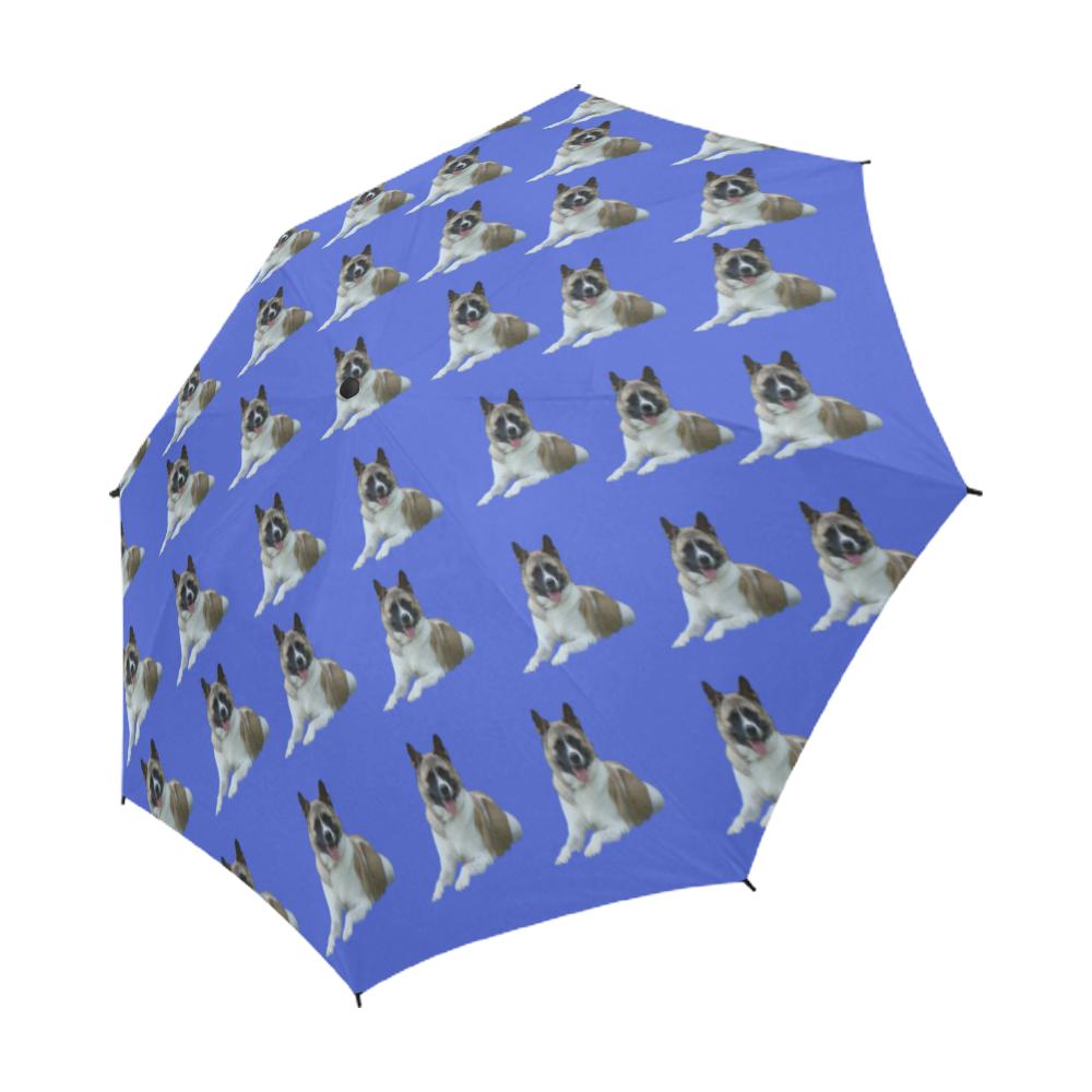 Akita Umbrellas