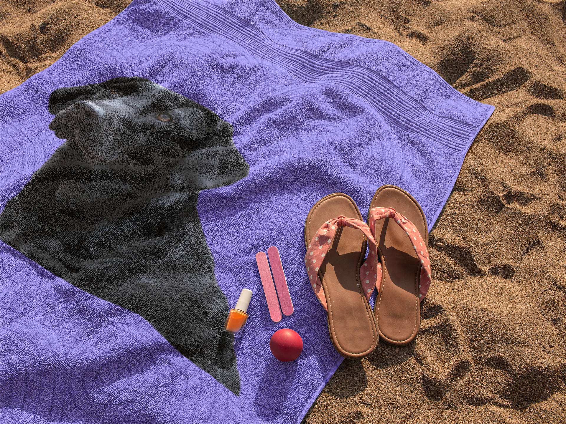 Lab Beach Towels