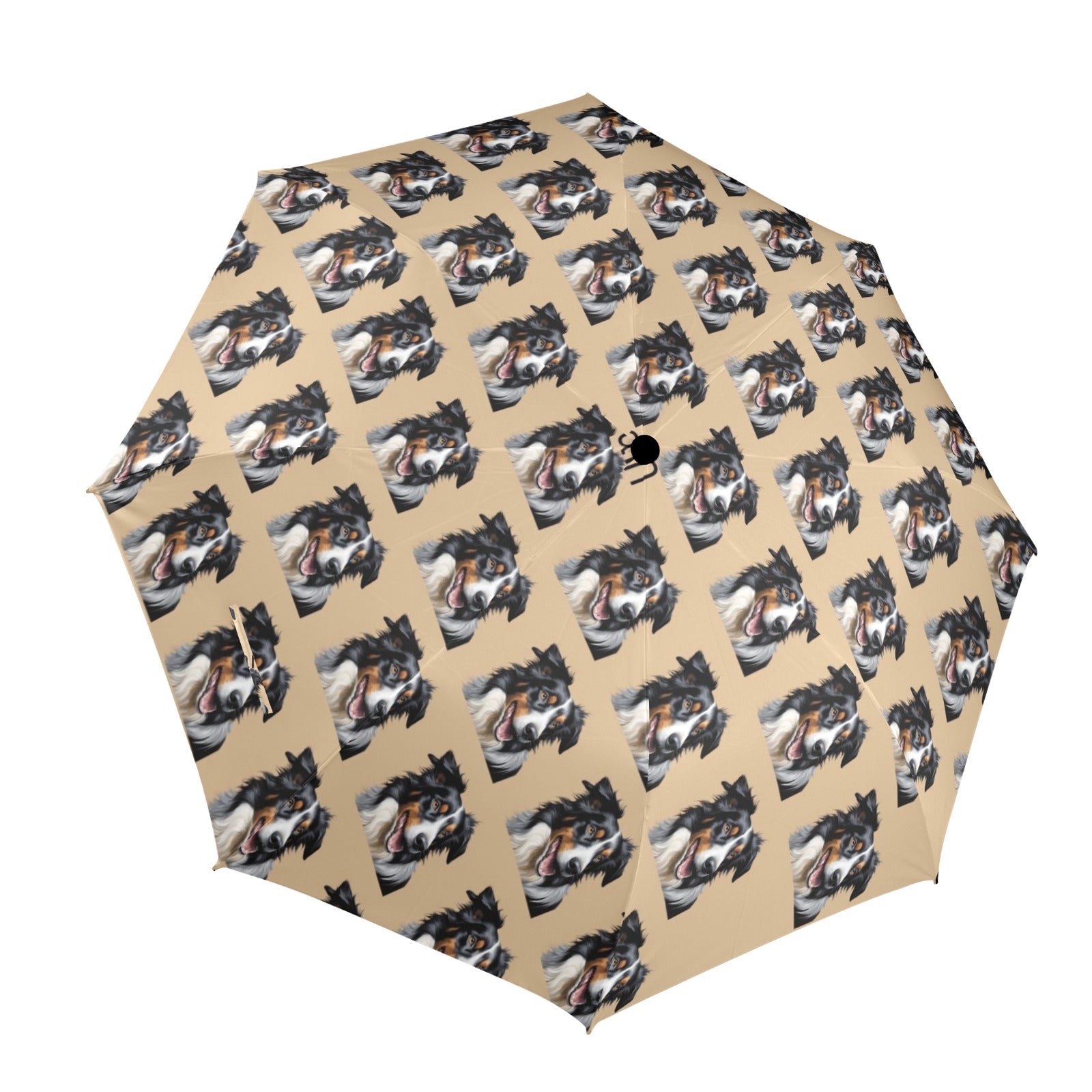 Border Collie Umbrella - Tri