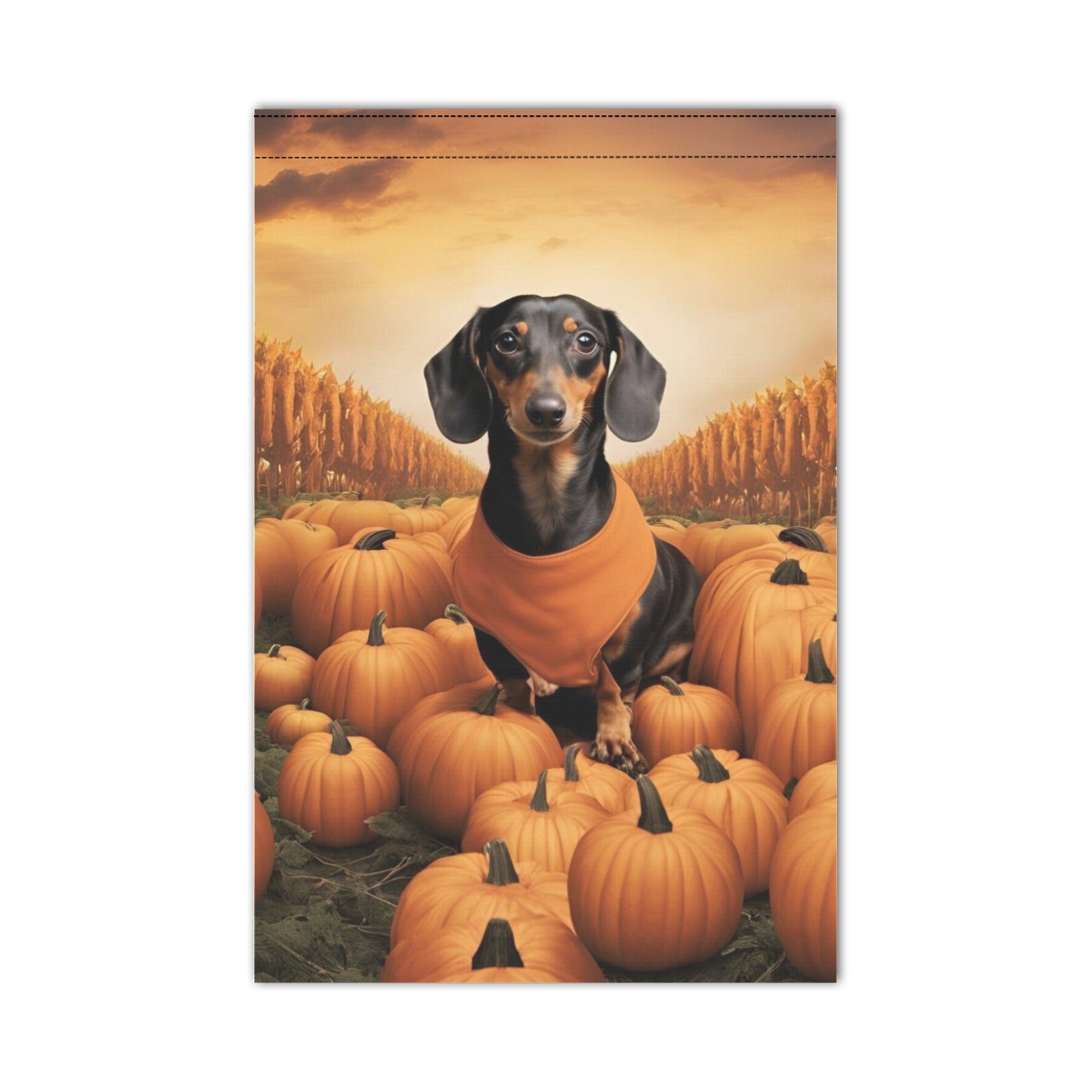 Dachshund & Pumpkins Garden Flag