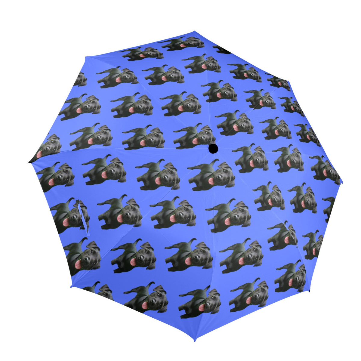 Patterdale Terrier Umbrella