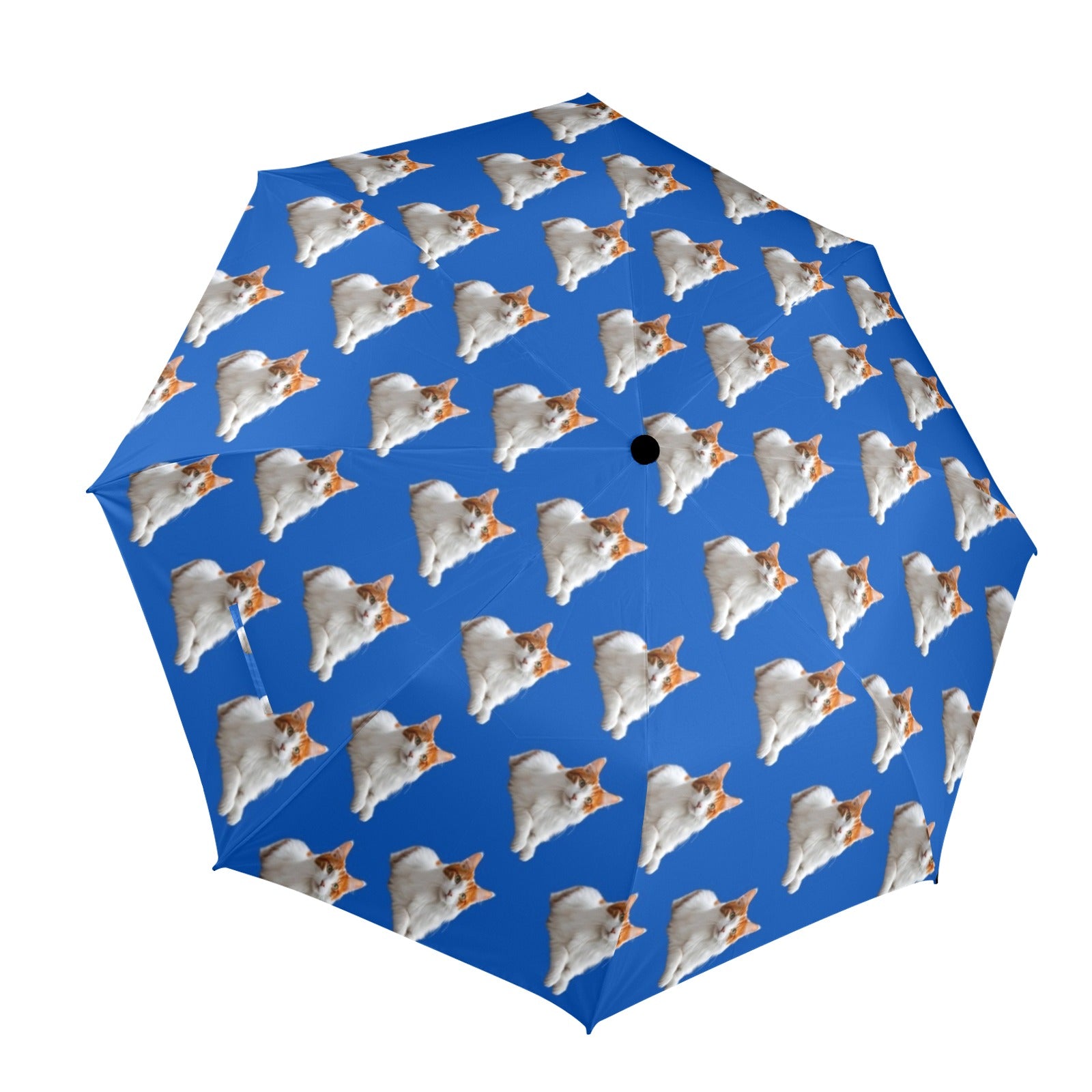 Turkish Van Cat Umbrella