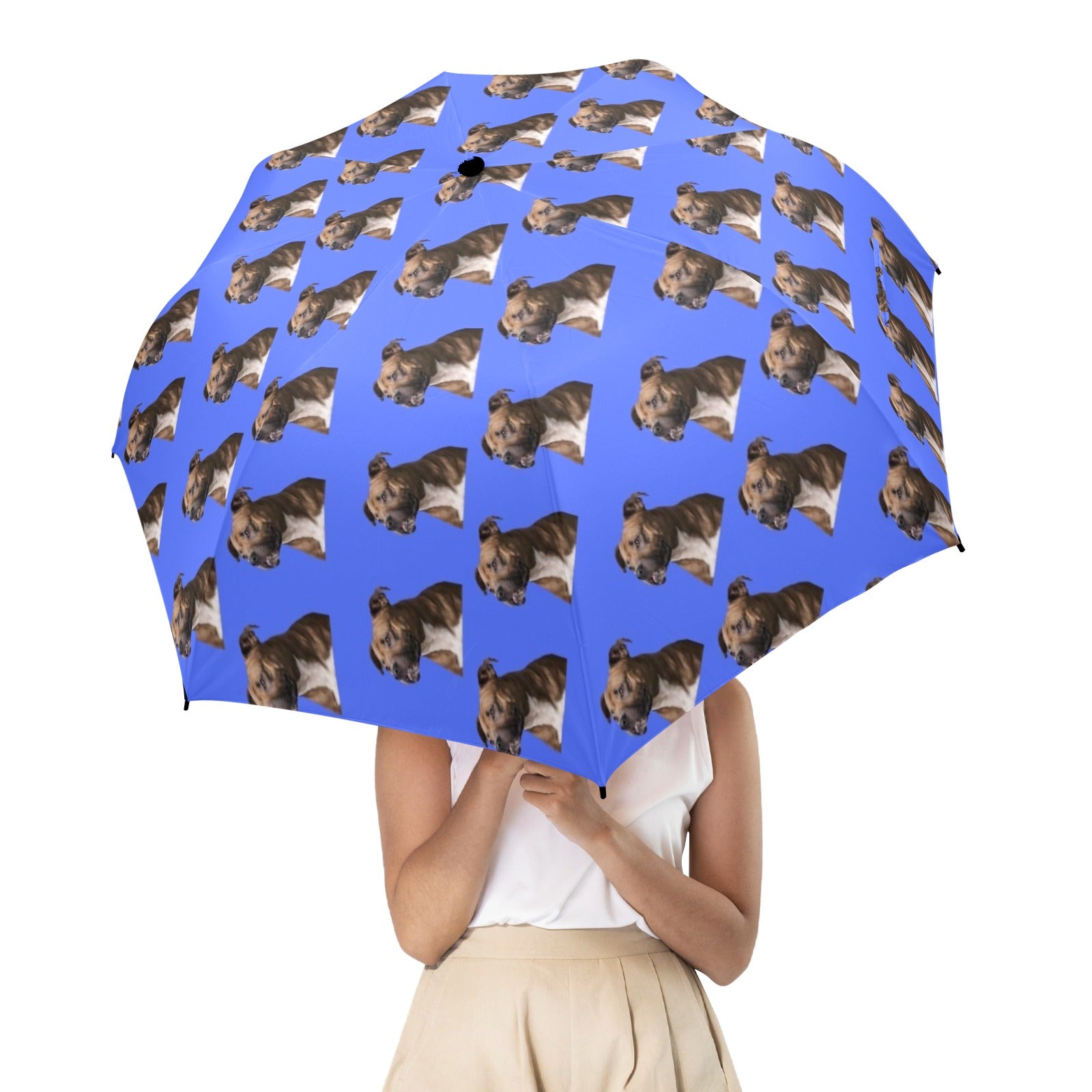 English Staffordshire Umbrella