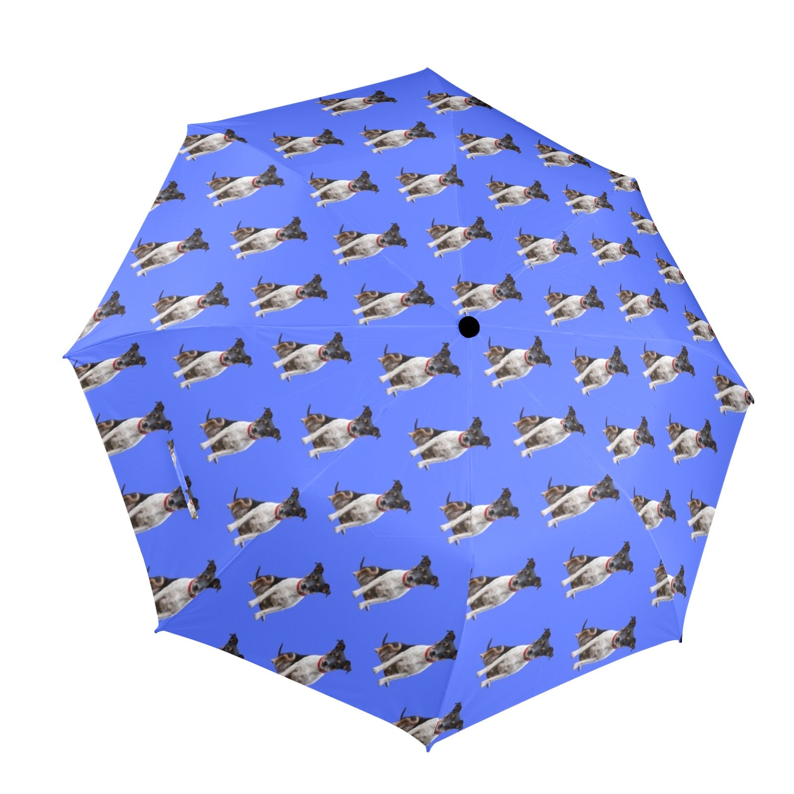 Patterjack Terrier Umbrella