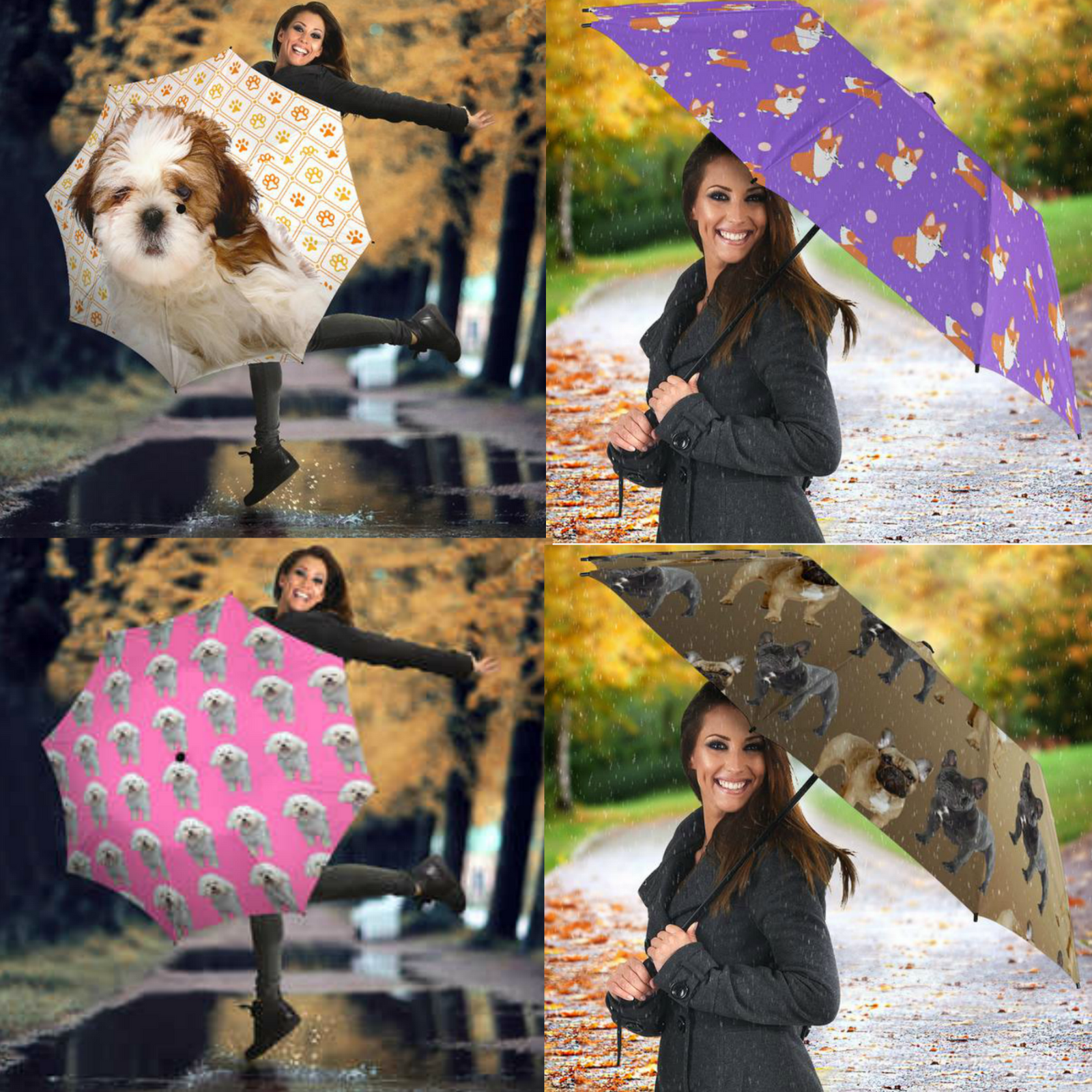 Shichon Umbrella