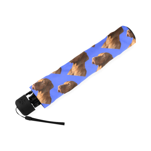 Hungarian Vizsla Umbrella - Blue