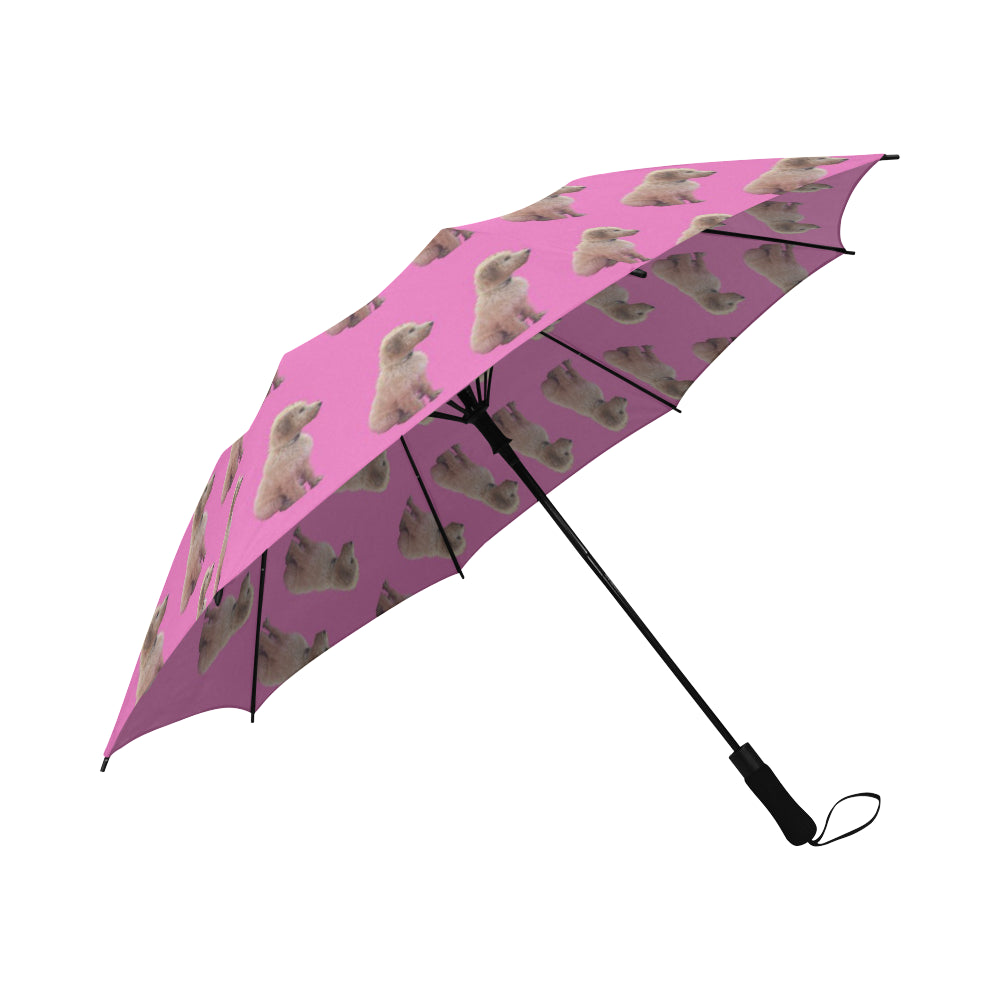 Scott's Umbrella