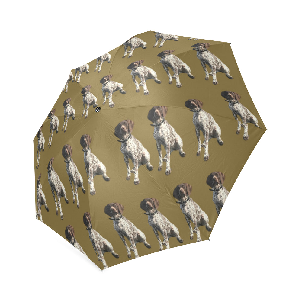 German Short Haired Pointer Umbrella