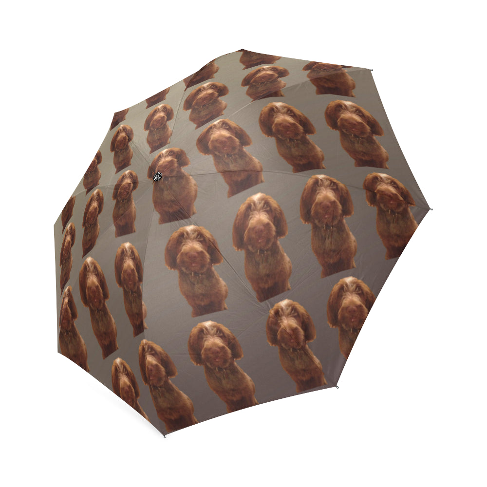 Spinone Italiano Umbrella