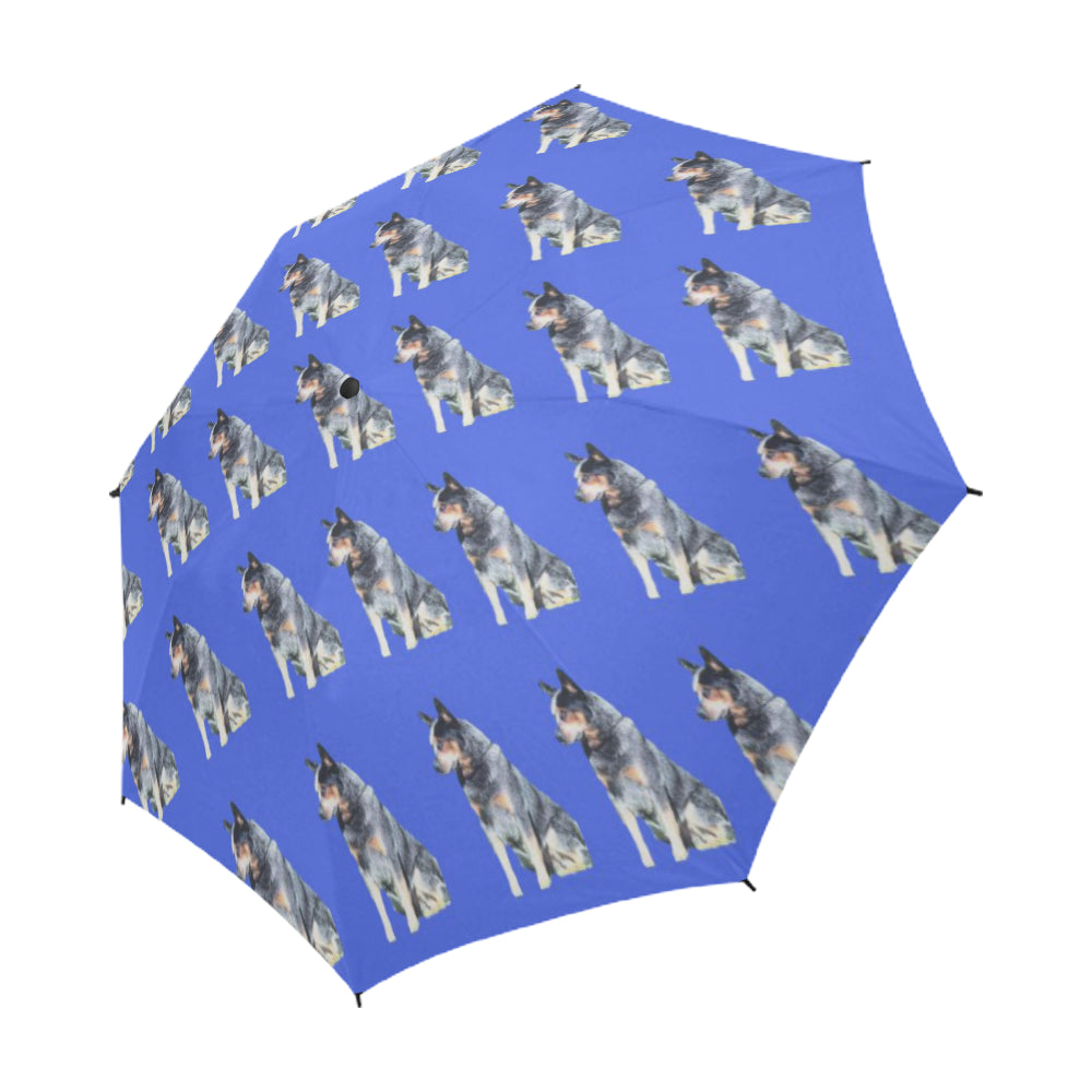 Blue Heeler Umbrella