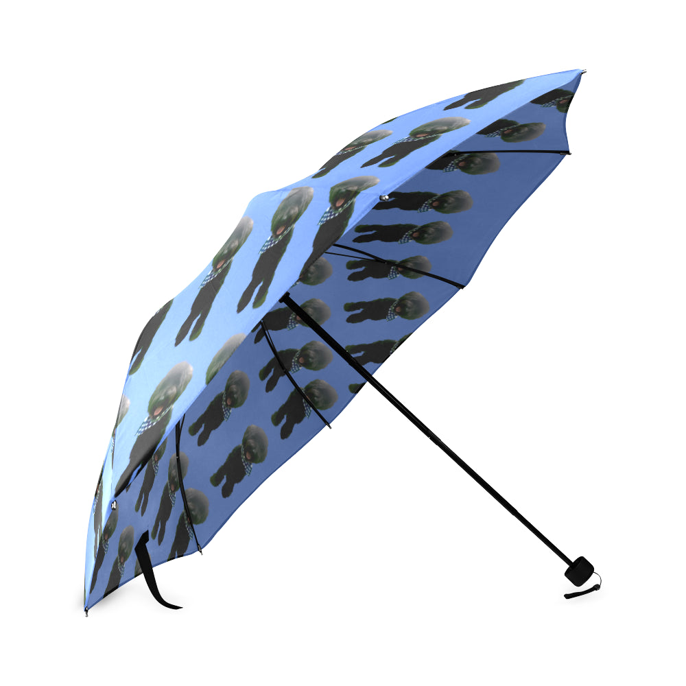 Shepadoodle Umbrella