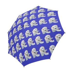 Goldi Umbrella