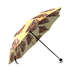 Cocker Spaniel Umbrella - American