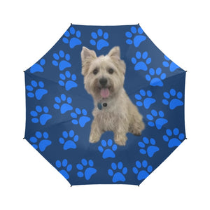 Cairn Terrier Umbrella - Paw Print