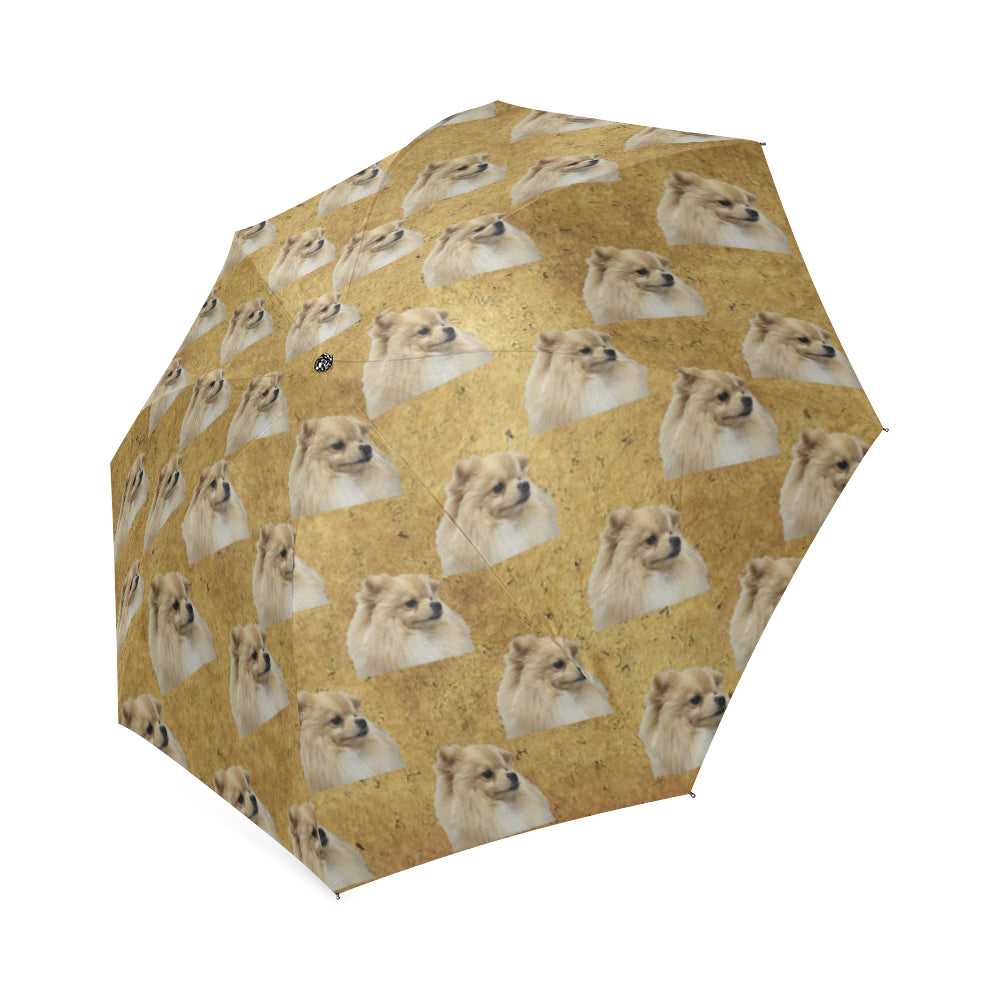 Pomeranian Umbrella