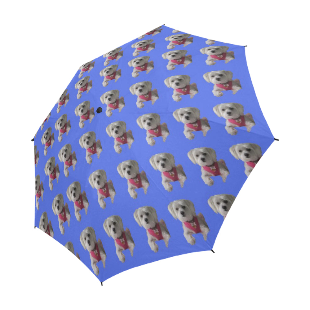 Shorkie Umbrella - Daisy