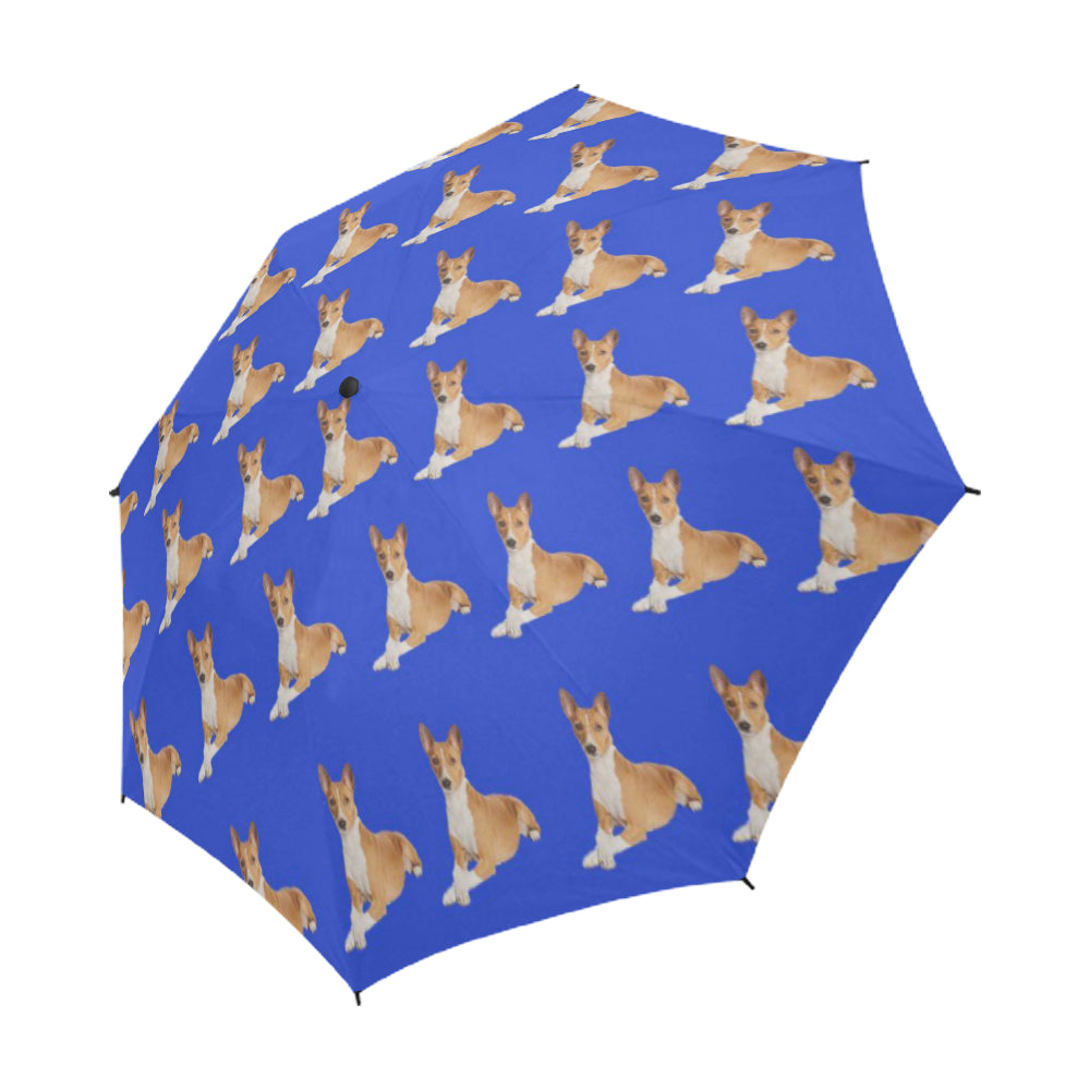 Basenji Umbrella - Blue Auto Open