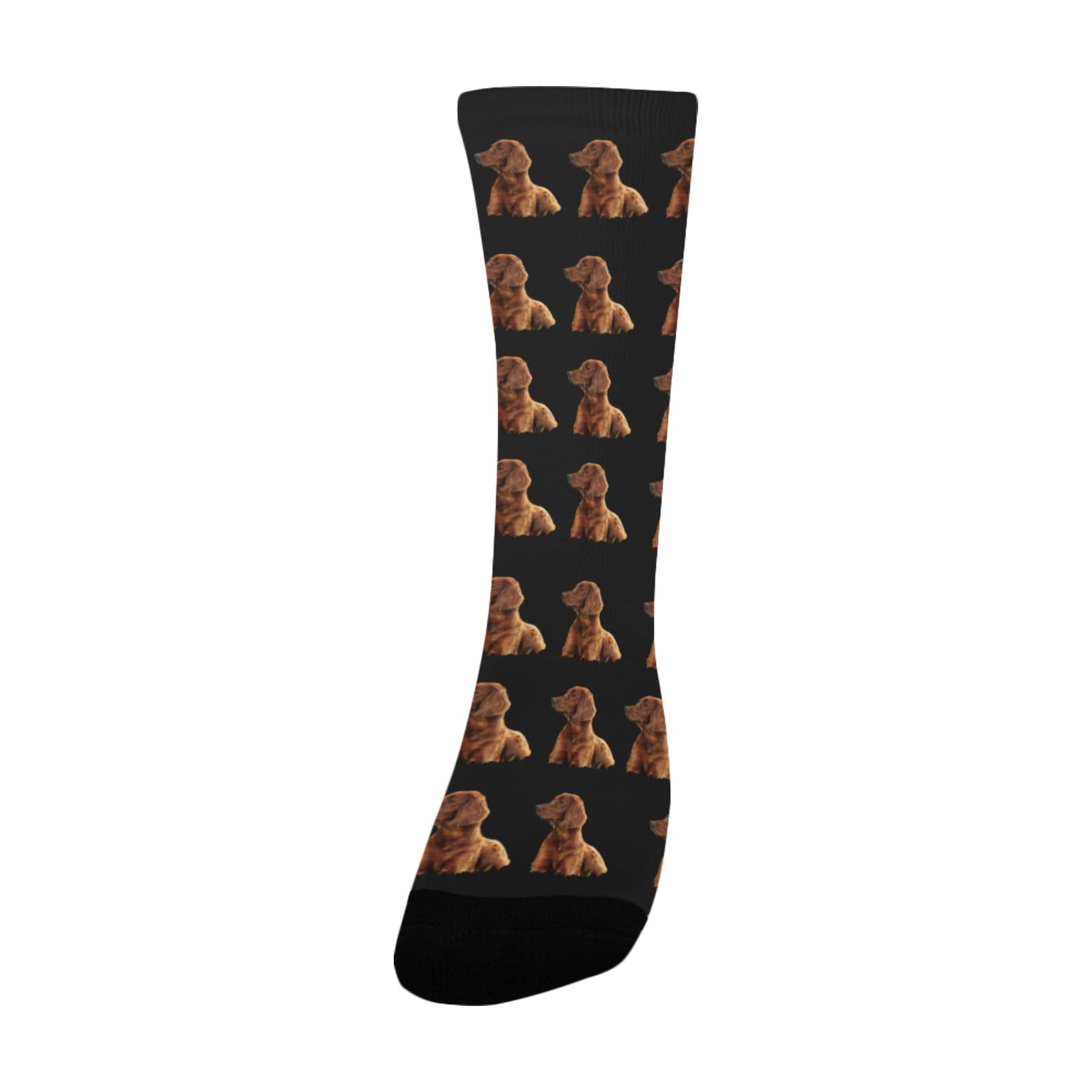 Irish Setter Socks