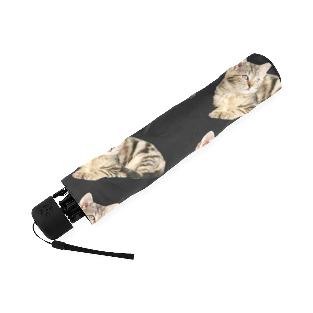 Cat Umbrella