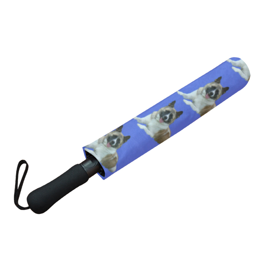 Akita Umbrella - Blue Auto Open