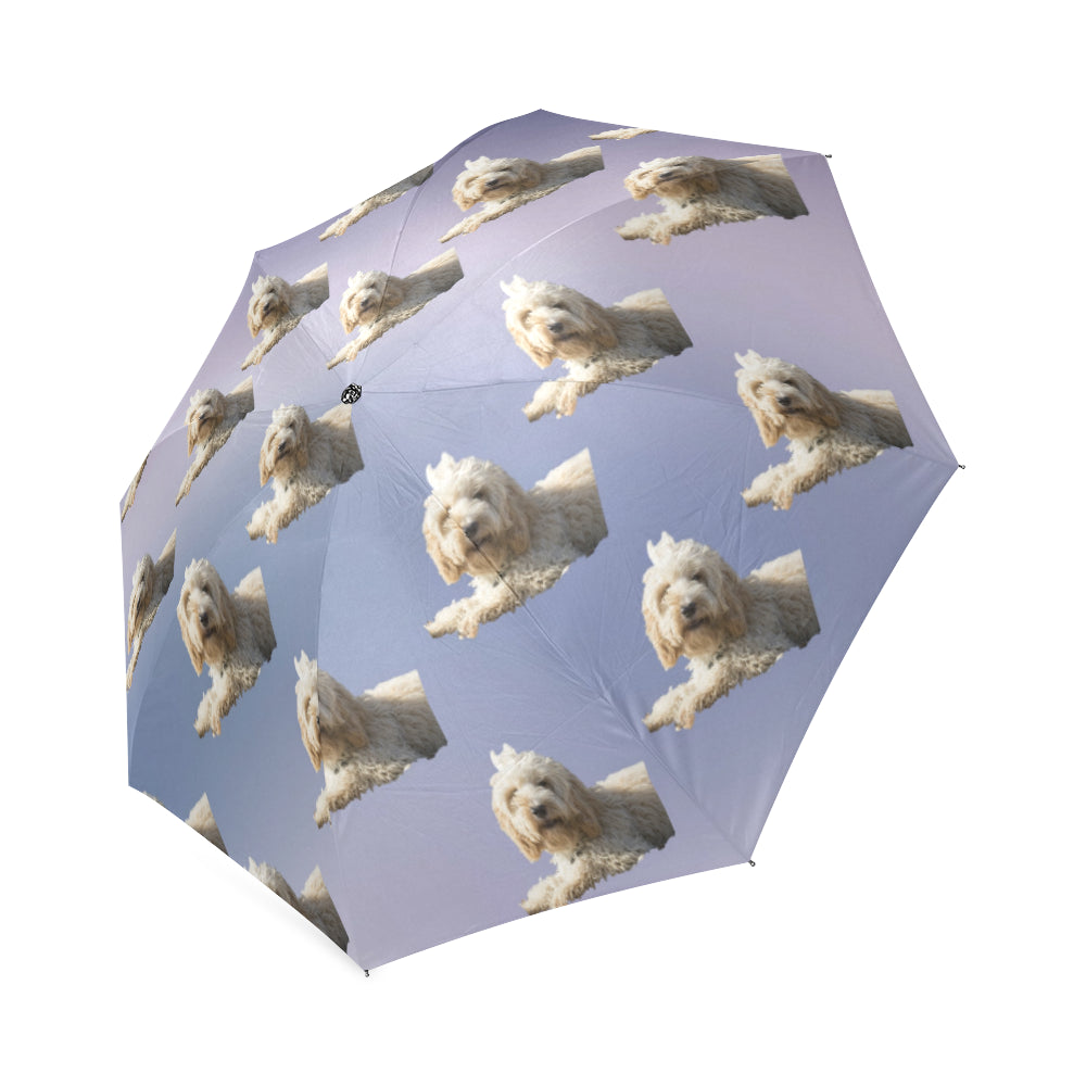 Cockapoo/Spoodle Umbrella