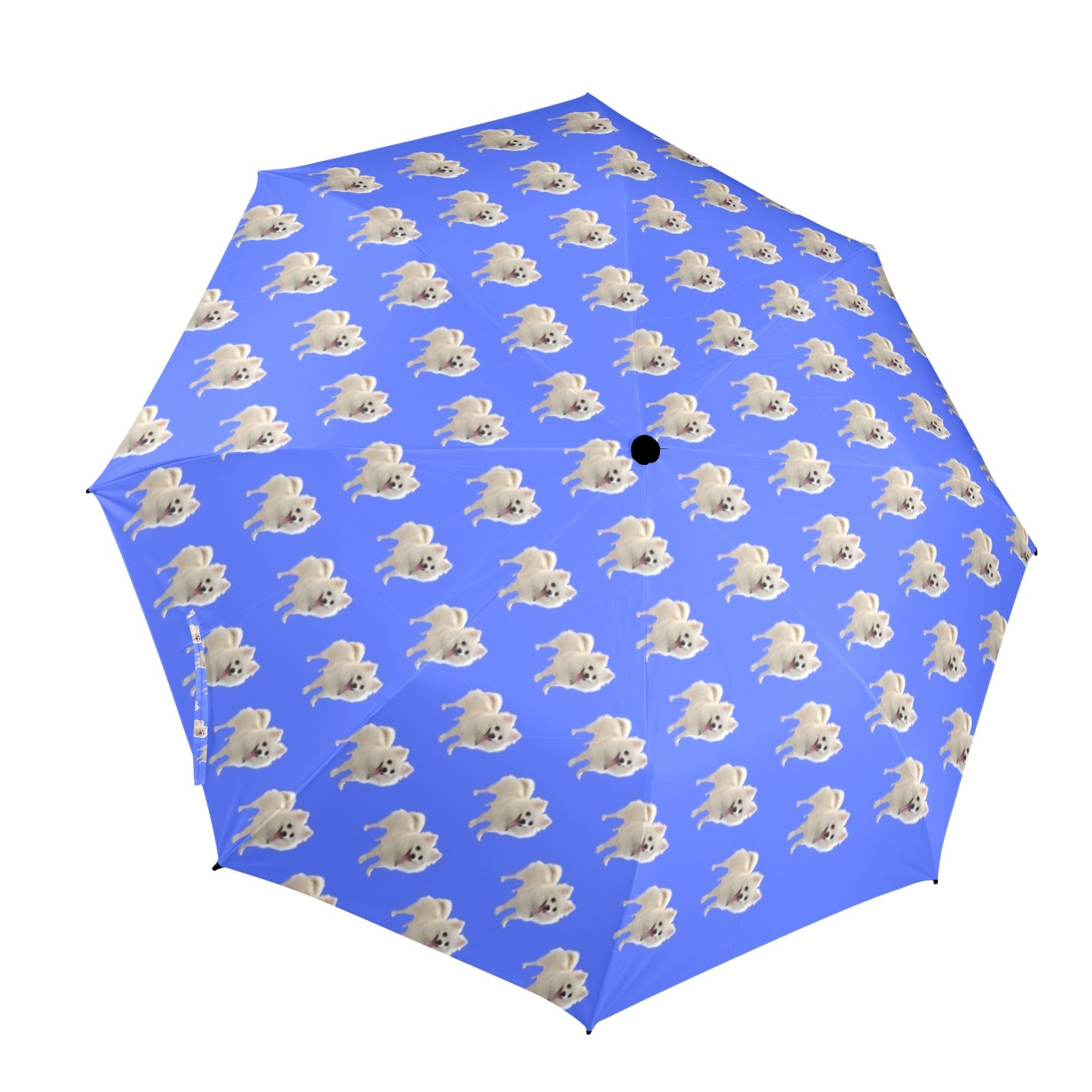 Pomeranian Umbrella - White