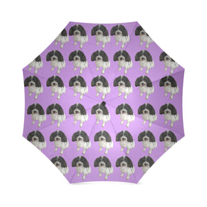 Cavapoo Umbrella 2