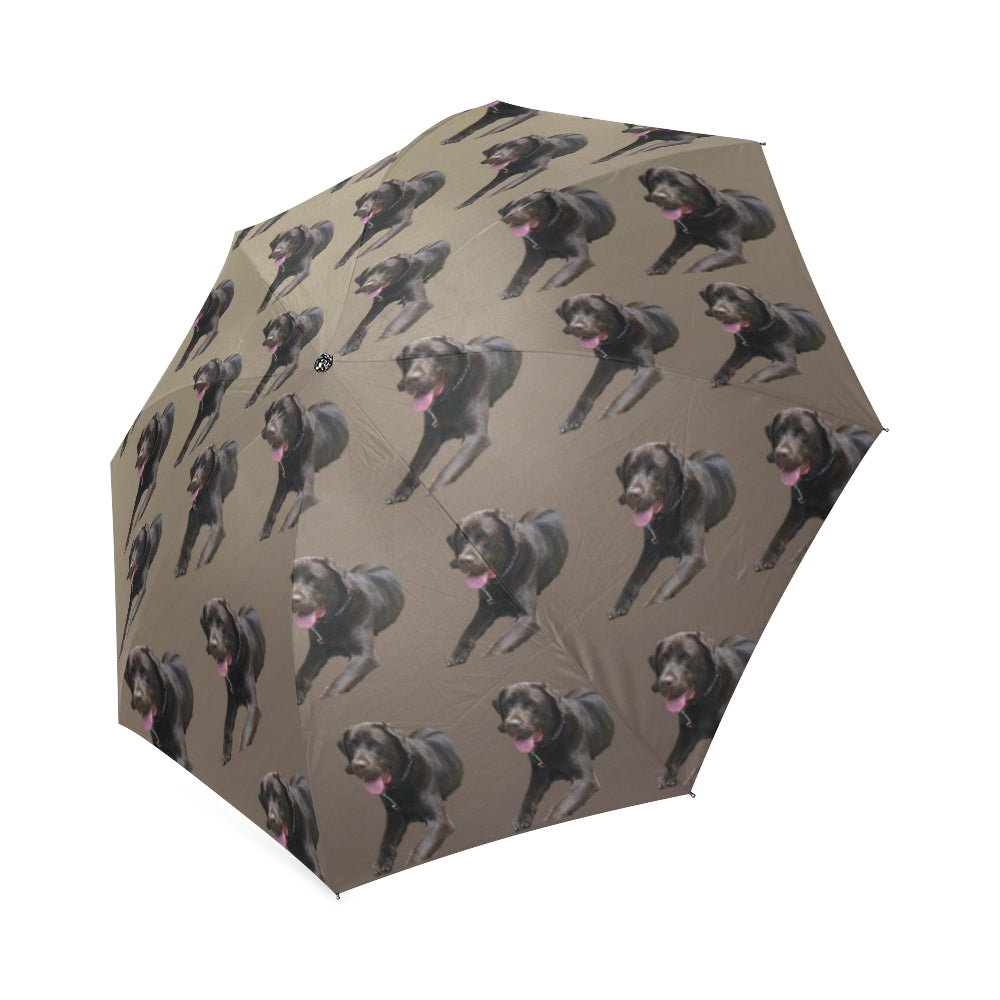 Chocolate Labrador Umbrella