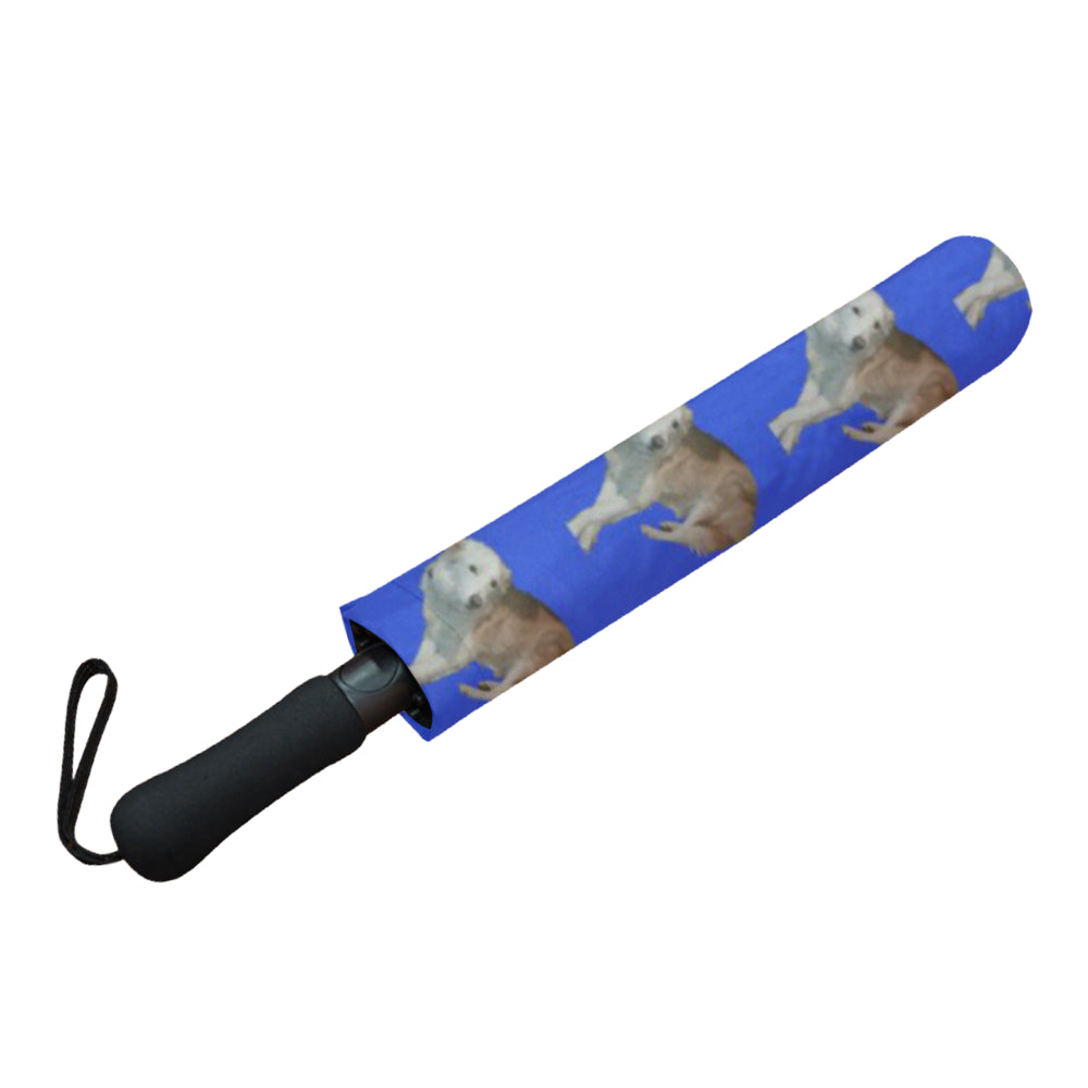 Wheaten Border Collie Umbrella - Casper Semi Auto