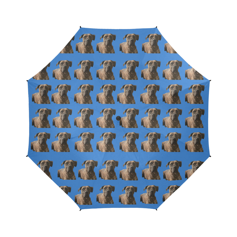 Boerboel/South African Mastiff Umbrella