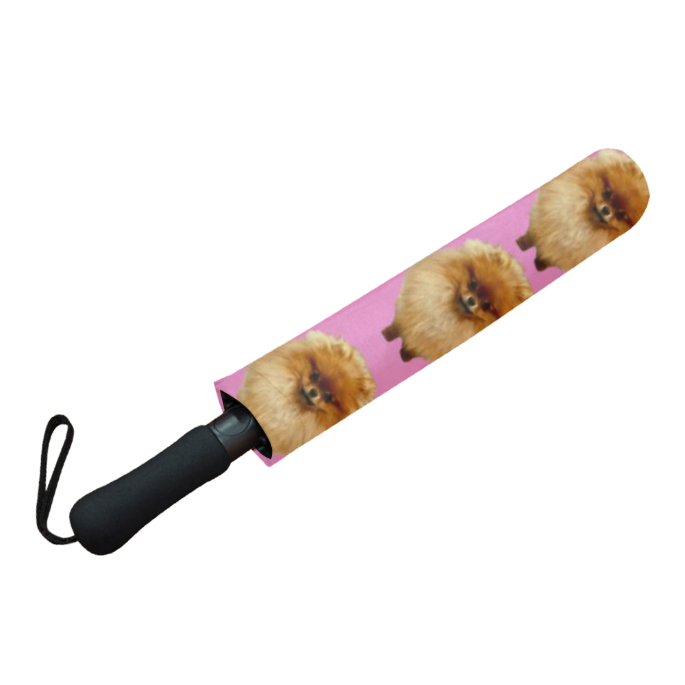 Pomeranian Umbrella - Pink