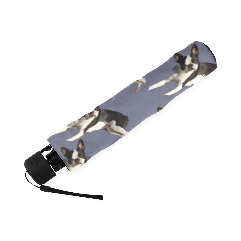 Boston Terrier Umbrella  - Blue